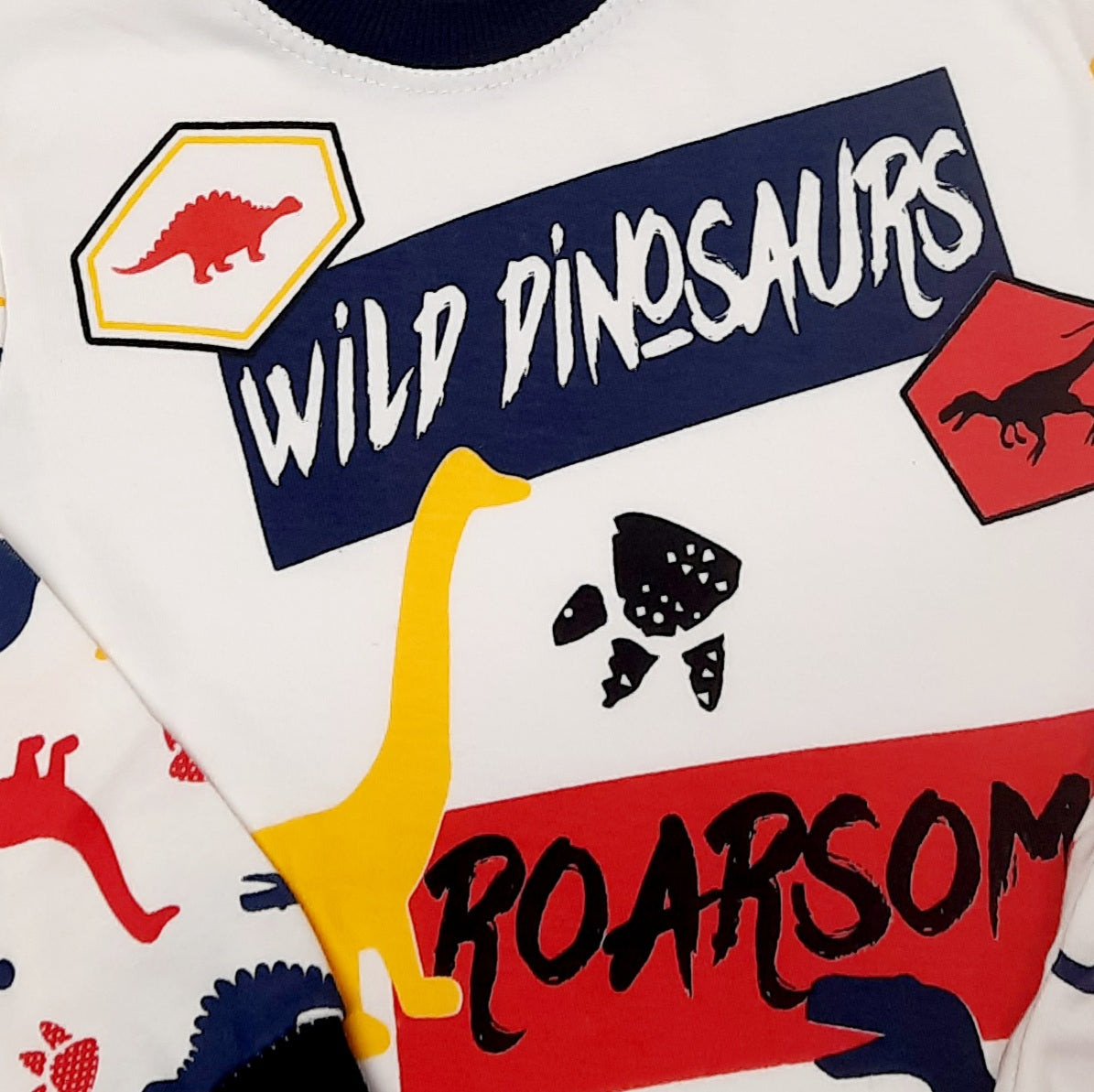Jason Boys Cotton Dino Pajamas