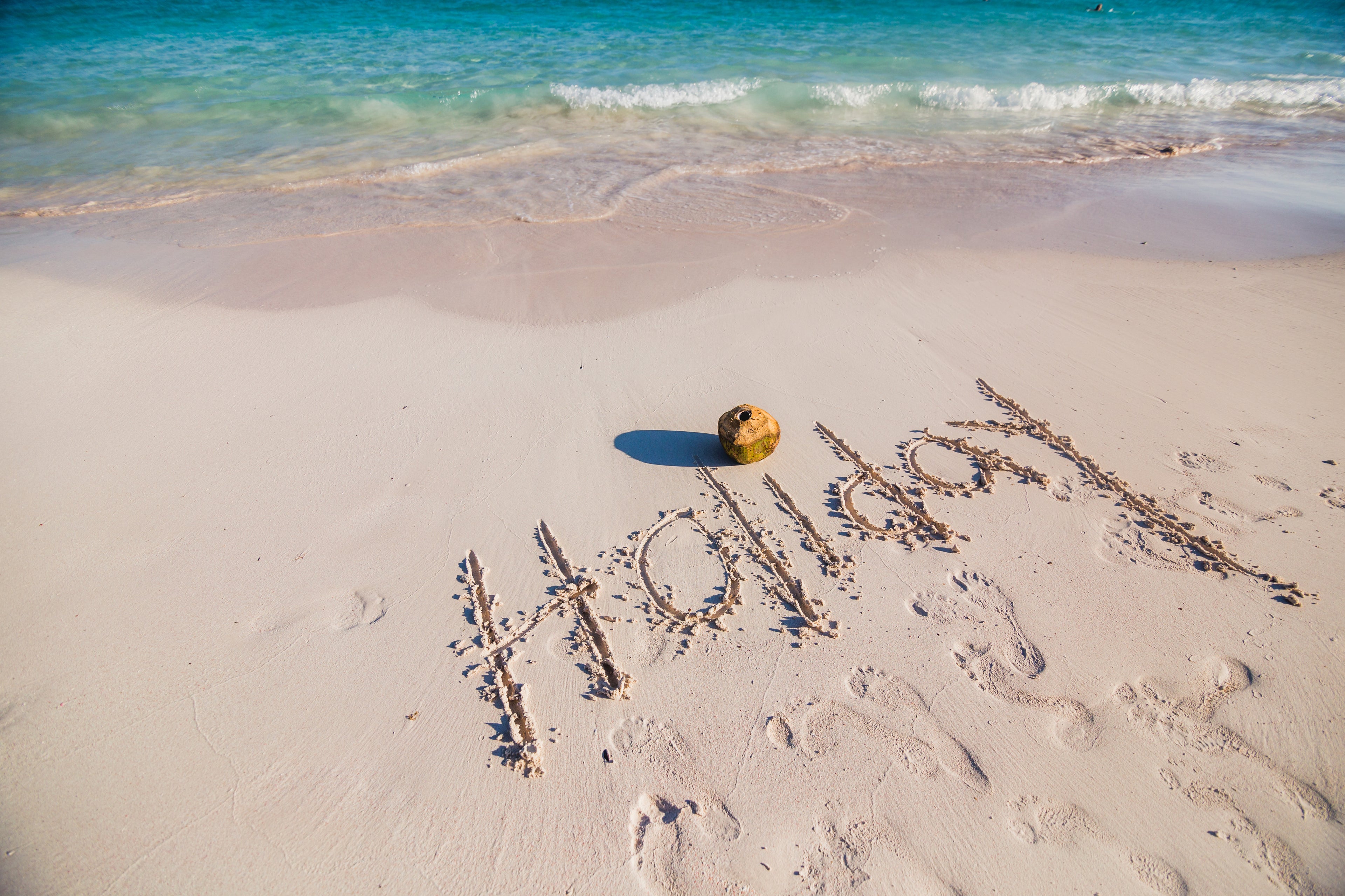 We're taking a break ! Next Shipping 4 July