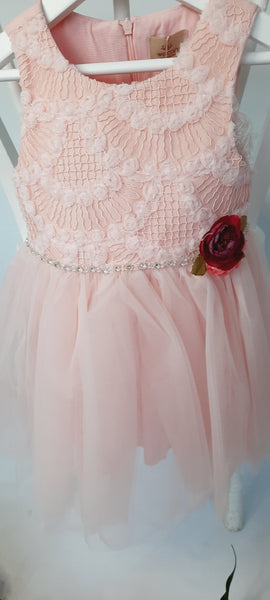 Petal Blush Pink Party Dress